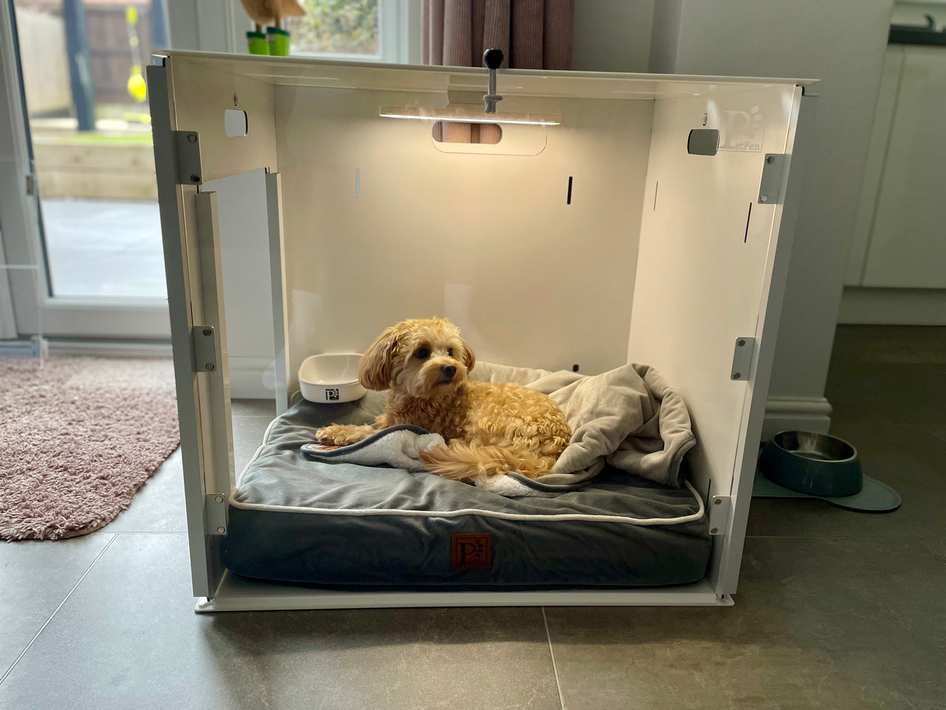 How to Stop Your Dog Biting Metal Crate Bars – A Safe Alternative
