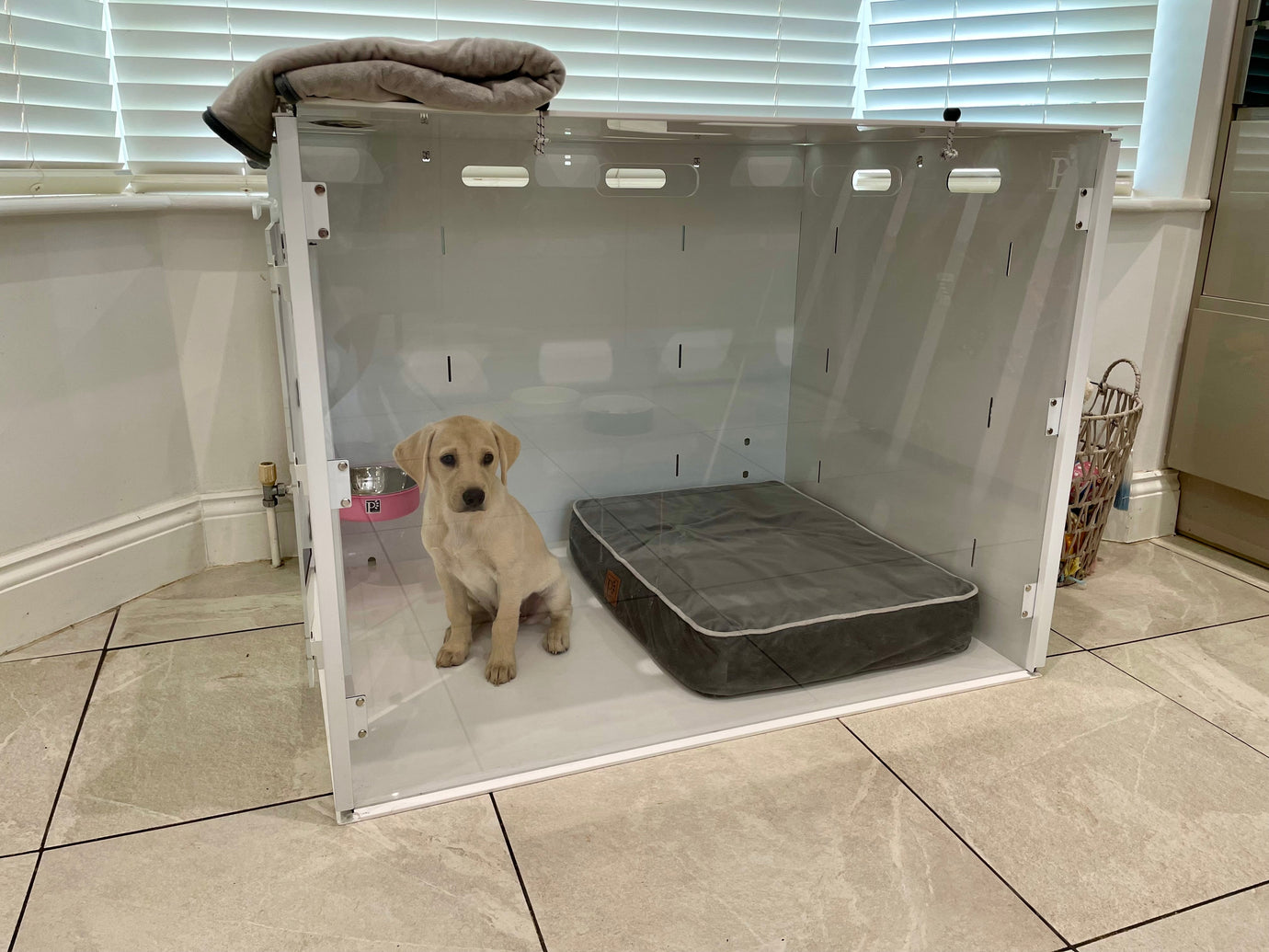 Cage Style Crate vs PetPen – What's Best for Your Dog?