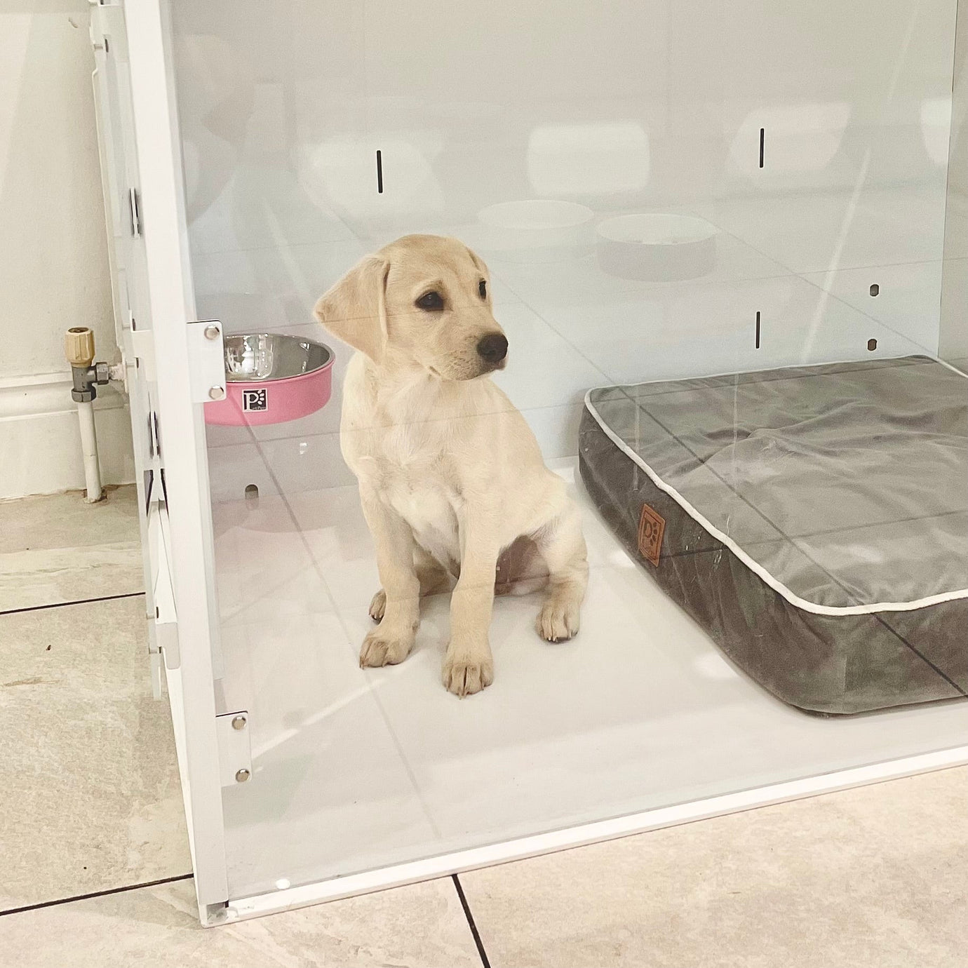 Best Indoor Puppy Pen for Small Dogs – Safe & Stylish