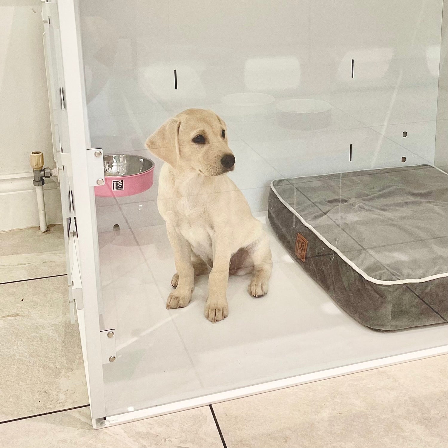 Best Indoor Puppy Pen for Small Dogs – Safe & Stylish