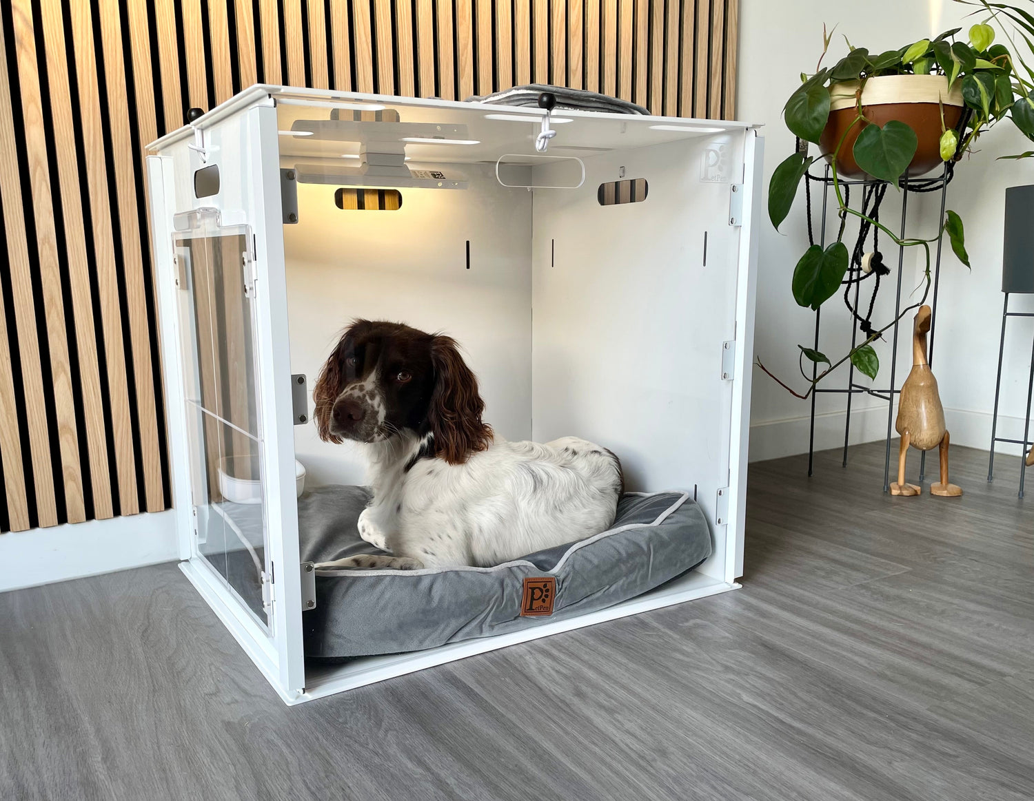 How Much Sleep Do Dogs Need? Why Rest Is Essential for Behaviour