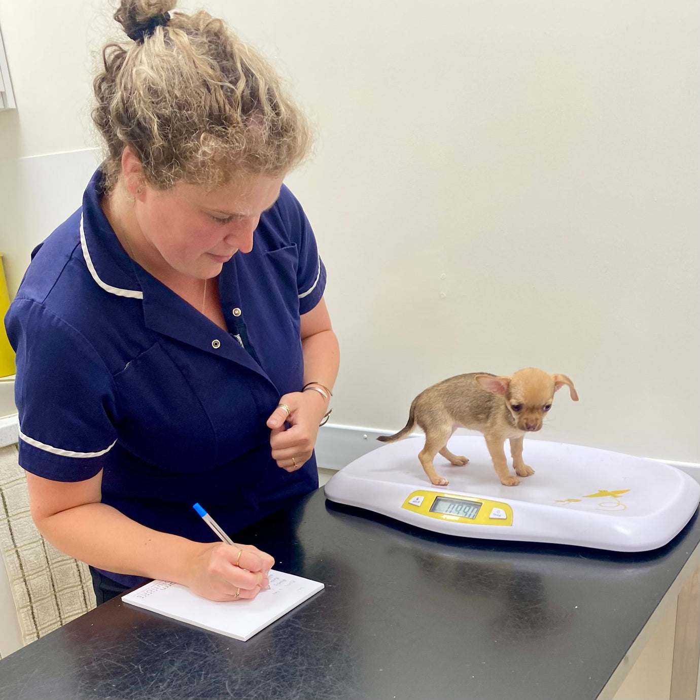 The Benefits of Crate Rest When a Dog Has Had Surgery