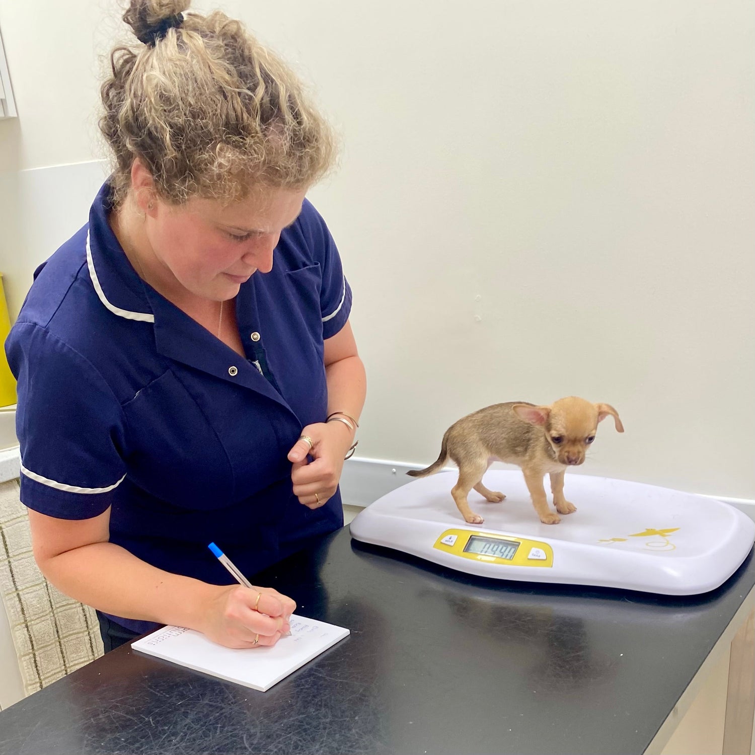 The Benefits of Crate Rest When a Dog Has Had Surgery
