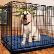 Why Metal Dog Cages Can Be Dangerous (What Owners Should Know)